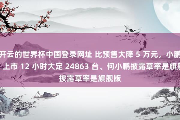 开云的世界杯中国登录网址 比预售大降 5 万元,小鹏 GX 上市 12 小时大定 24863 台、何小鹏披露草率是旗舰版