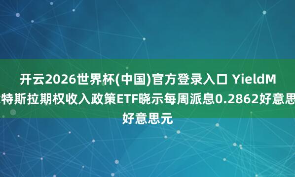 开云2026世界杯(中国)官方登录入口 YieldMax特斯拉期权收入政策ETF晓示每周派息0.2862好意思元