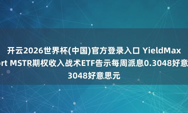 开云2026世界杯(中国)官方登录入口 YieldMax Short MSTR期权收入战术ETF告示每周派息0.3048好意思元