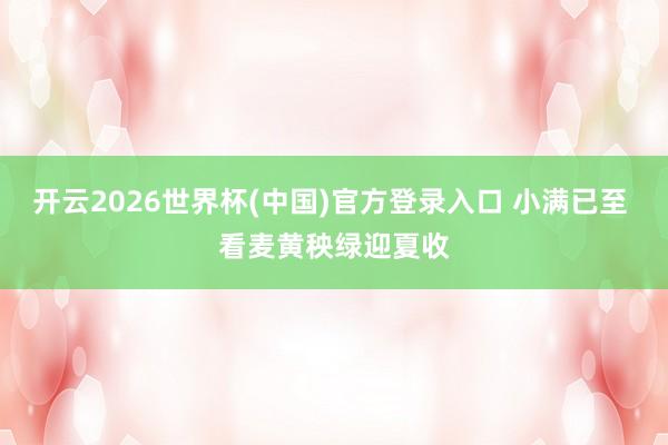 开云2026世界杯(中国)官方登录入口 小满已至 看麦黄秧绿迎夏收