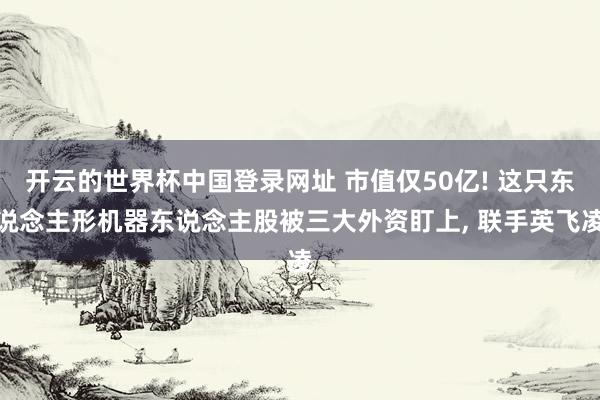 开云的世界杯中国登录网址 市值仅50亿! 这只东说念主形机器东说念主股被三大外资盯上, 联手英飞凌