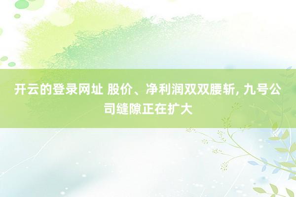 开云的登录网址 股价、净利润双双腰斩, 九号公司缝隙正在扩大