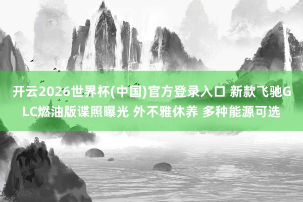 开云2026世界杯(中国)官方登录入口 新款飞驰GLC燃油版谍照曝光 外不雅休养 多种能源可选