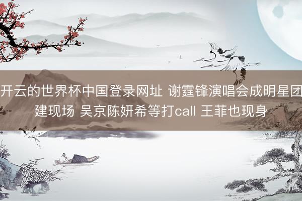 开云的世界杯中国登录网址 谢霆锋演唱会成明星团建现场 吴京陈妍希等打call 王菲也现身
